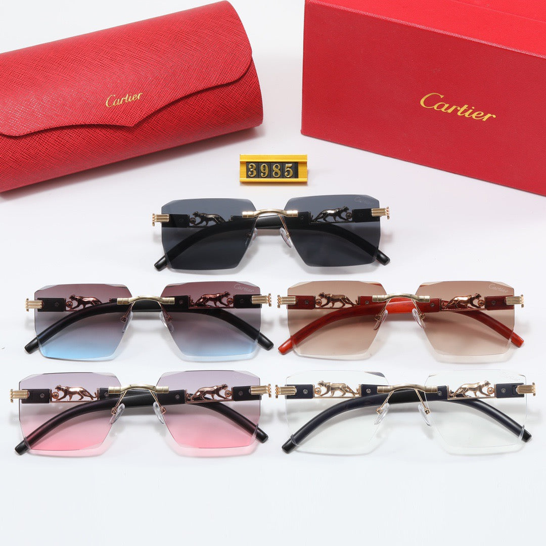 5 Color Women's Sunglasses—3985